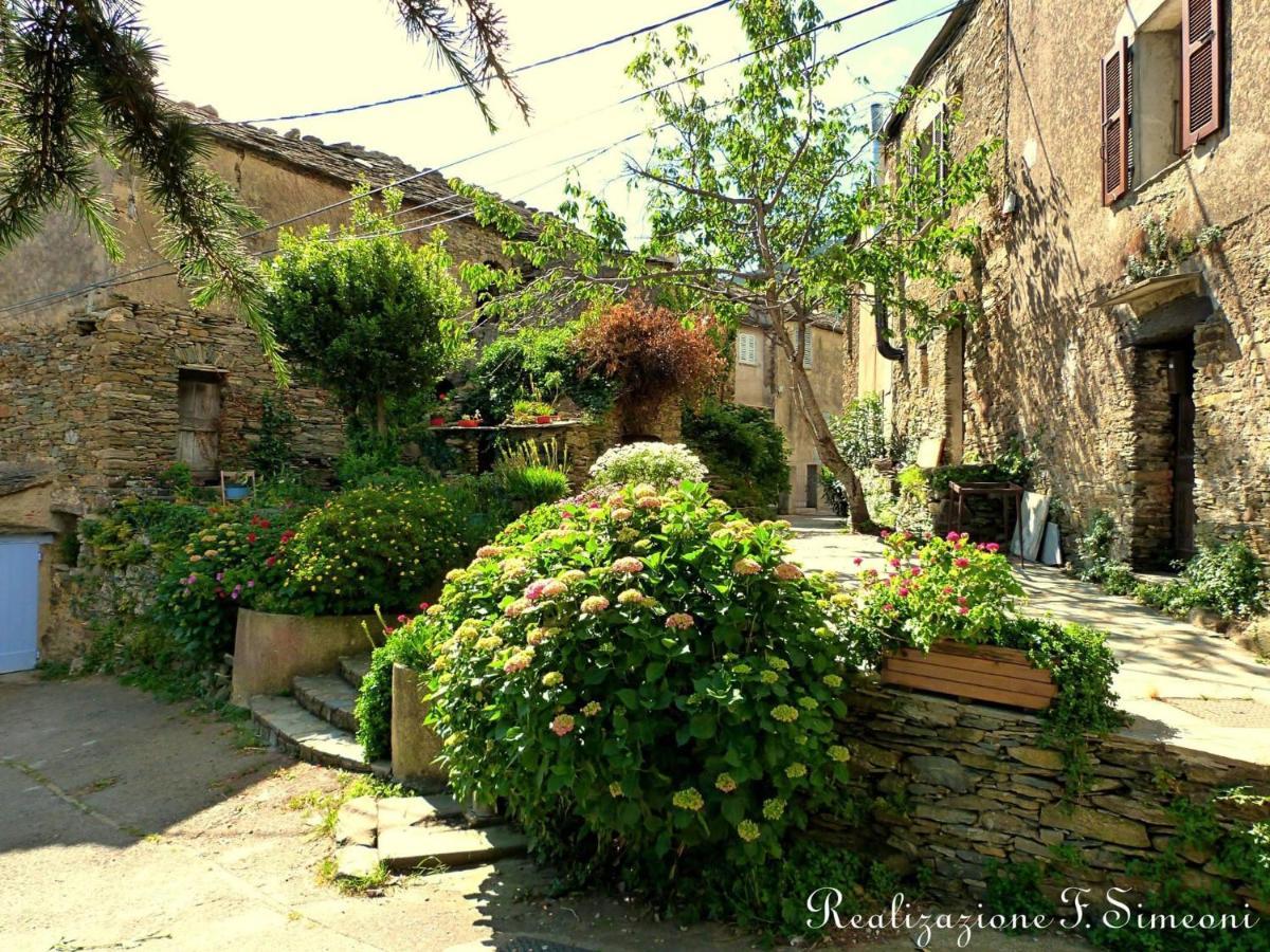 Tres Jolie Maison Aux Portes Du Cap Corse Sisco Zewnętrze zdjęcie