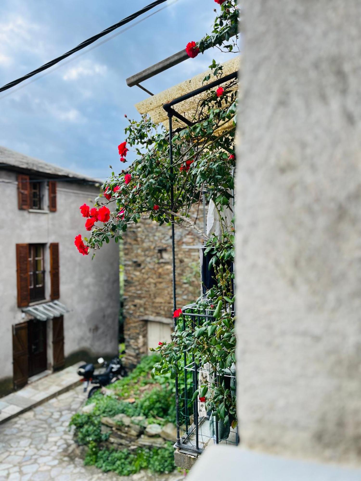 Tres Jolie Maison Aux Portes Du Cap Corse Sisco Zewnętrze zdjęcie